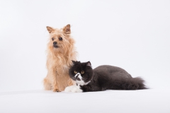 Luna und  Felix 01
