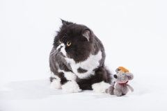 Luna und Felix 02