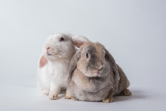 Murmel und Petty 01