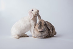 Murmel und Petty 02