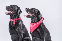 Timba und Marla 03