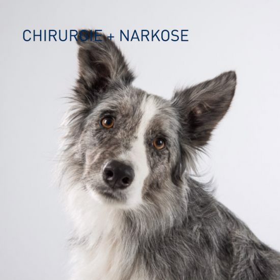 CHIRURGIE + NARKOSE