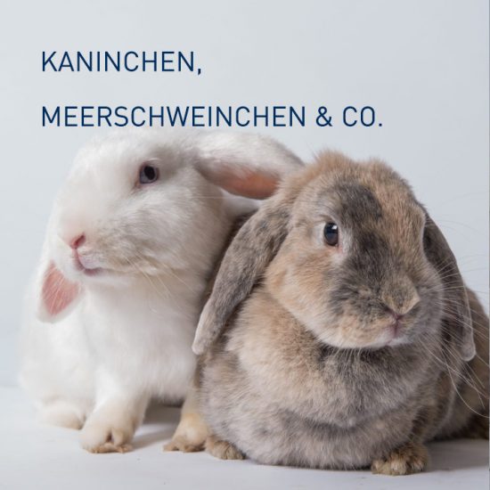 KANINCHEN, MEERSCHWEINCHEN & CO.
