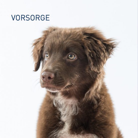 VORSORGE