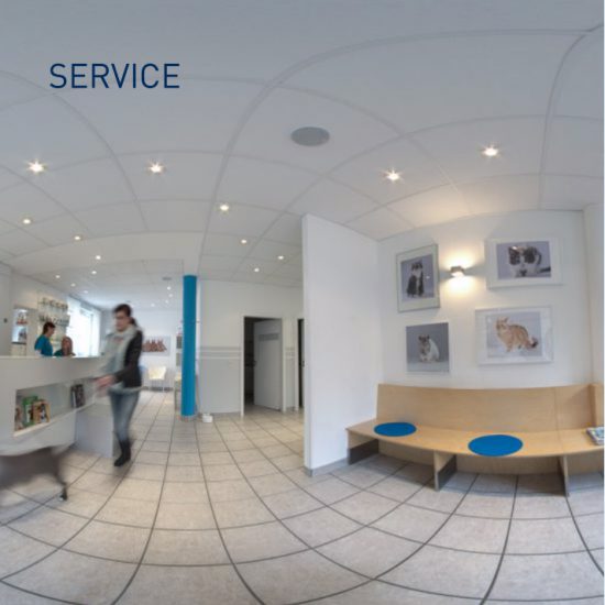 SERVICE